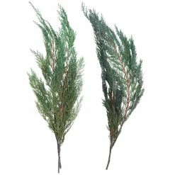 Coupon 😉 Assorted Dried Cedar Bouquet by Ashland® 🛒