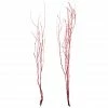 Buy 🥰 Assorted Red Birch Branch by Ashland® 👍 -Christmas Shop 10703836 1