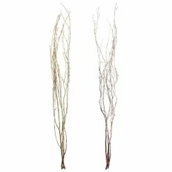 Outlet 🔥 Assorted Gold Birch Branch by Ashland® 👏