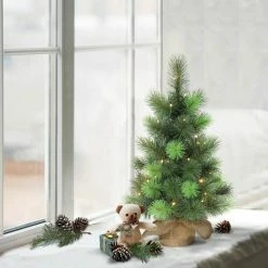 Budget π 6 Pack: 2ft. Pre-Lit Artificial β Christmas Tree in Burlap Base, Warm White LED Lights by Puleo International π 7 Budget π 6 Pack: 2ft. Pre-Lit Artificial β Christmas Tree in Burlap Base, Warm White LED Lights by Puleo International π -Christmas Shop D393390S 3