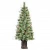 Best reviews of 🎉 6 Pack: 4.5ft. Pre-Lit Natural Pine Artificial 🎁 Christmas Tree in Decorative Planter, Clear Lights by Puleo International ❤️ -Christmas Shop D393462S 1