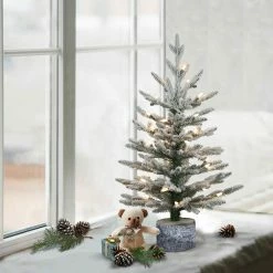 Flash Sale 😀 6 Pack: 2ft. Pre-Lit Potted Flocked Pencil Arctic Fir Artificial 🔔 Christmas Tree, Clear Lights by Puleo International 🌟 -Christmas Shop D393479S 3
