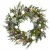 Top 10 🤩 Alpine Collection 30" Warm White LED Decorated Wreath by National Tree Company ✔️ -Christmas Shop D677549S 1