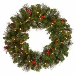 Outlet β€οΈ Crestwood® 24" LED Spruce Wreath by National Tree Company β€οΈ