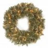 Discount 👏 24" Glittery Bristle® LED Pine Wreath by National Tree Company 🛒 2 Discount 👏 24" Glittery Bristle® LED Pine Wreath by National Tree Company 🛒 -Christmas Shop D677552S 1