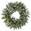 Hot Sale π 30" LED Snowy Morgan Spruce Wreath by National Tree Company β¨ 1 Hot Sale π 30" LED Snowy Morgan Spruce Wreath by National Tree Company β¨ -Christmas Shop D677557S 1