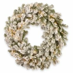 Best deal 😉 24" LED Snowy Sheffield Spruce Wreath by National Tree Company ⭐