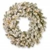 Best reviews of 🛒 30" LED Snowy Sheffield Spruce Wreath by National Tree Company 🥰 1 Best reviews of 🛒 30" LED Snowy Sheffield Spruce Wreath by National Tree Company 🥰 -Christmas Shop D677559S 1
